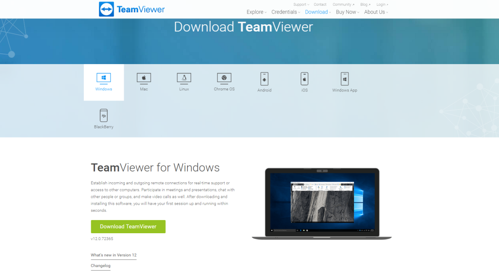 teamviewer via web browser